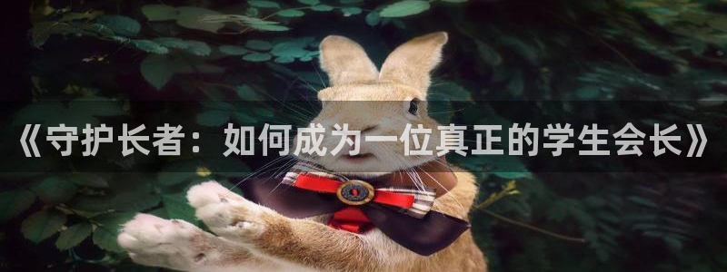 漫蛙.apk