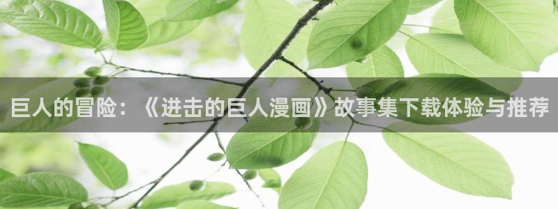 漫蛙正版官网下载