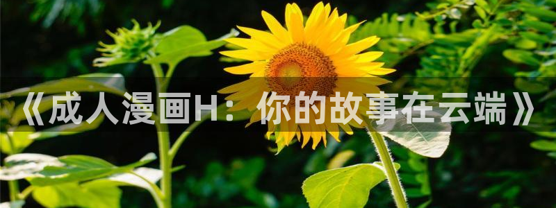怎么下漫蛙