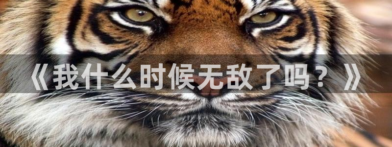 漫蛙最新网站