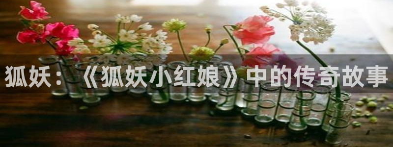 漫蛙mamwa