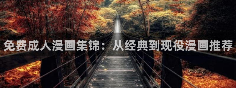 漫蛙网页版防走丢