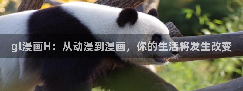 漫蛙官网入口下载