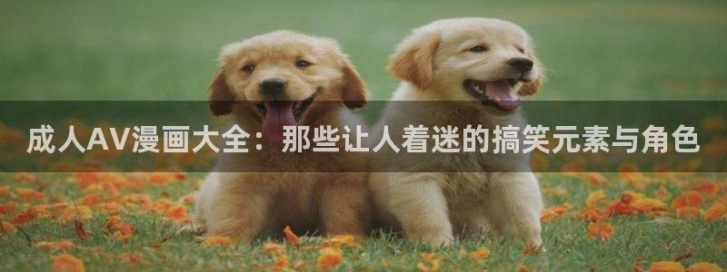 漫蛙2.apk