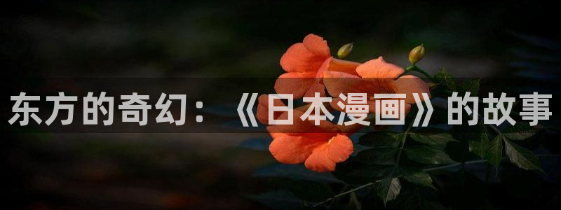 漫蛙官网入口安卓