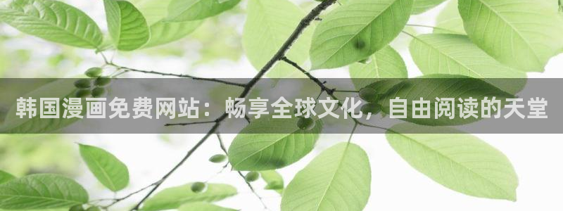 漫蛙2动漫