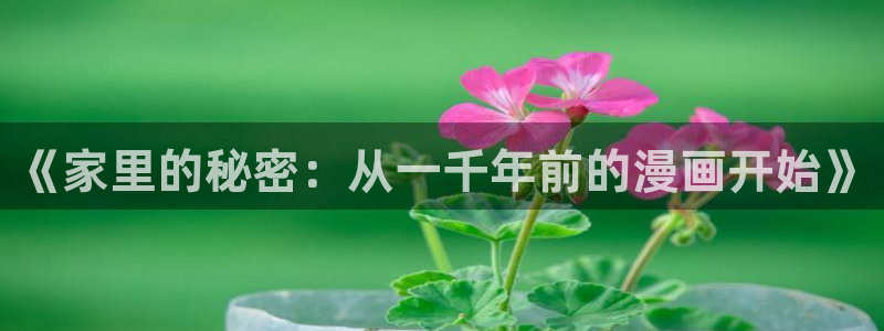 漫蛙2苹果版